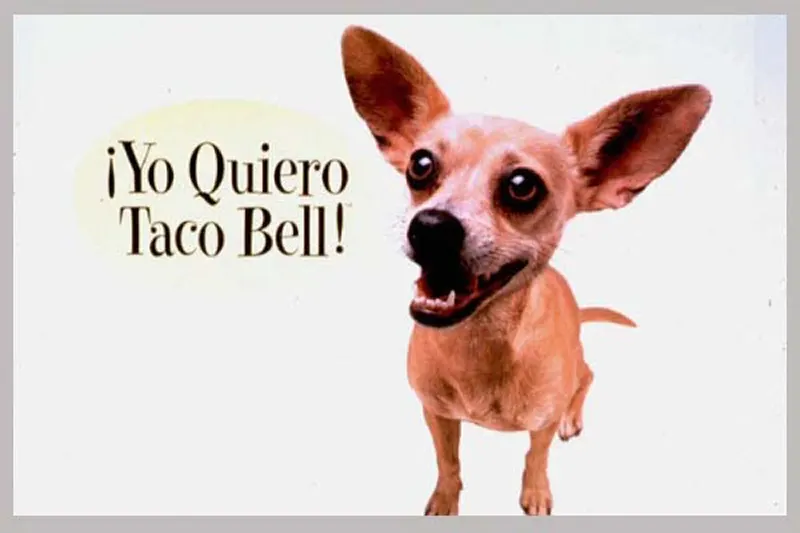 Gidget the Chihuahua, Taco Bell mascot, 1999.