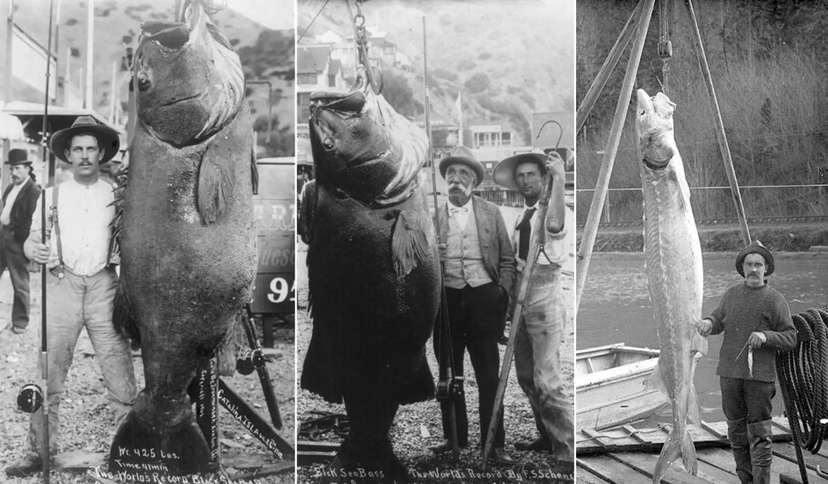 Fishermen Catches historical photos
