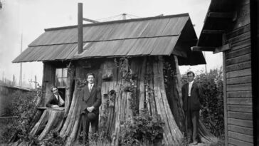 Tree Stump House