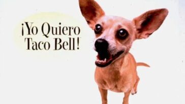 Vintage Taco Bell