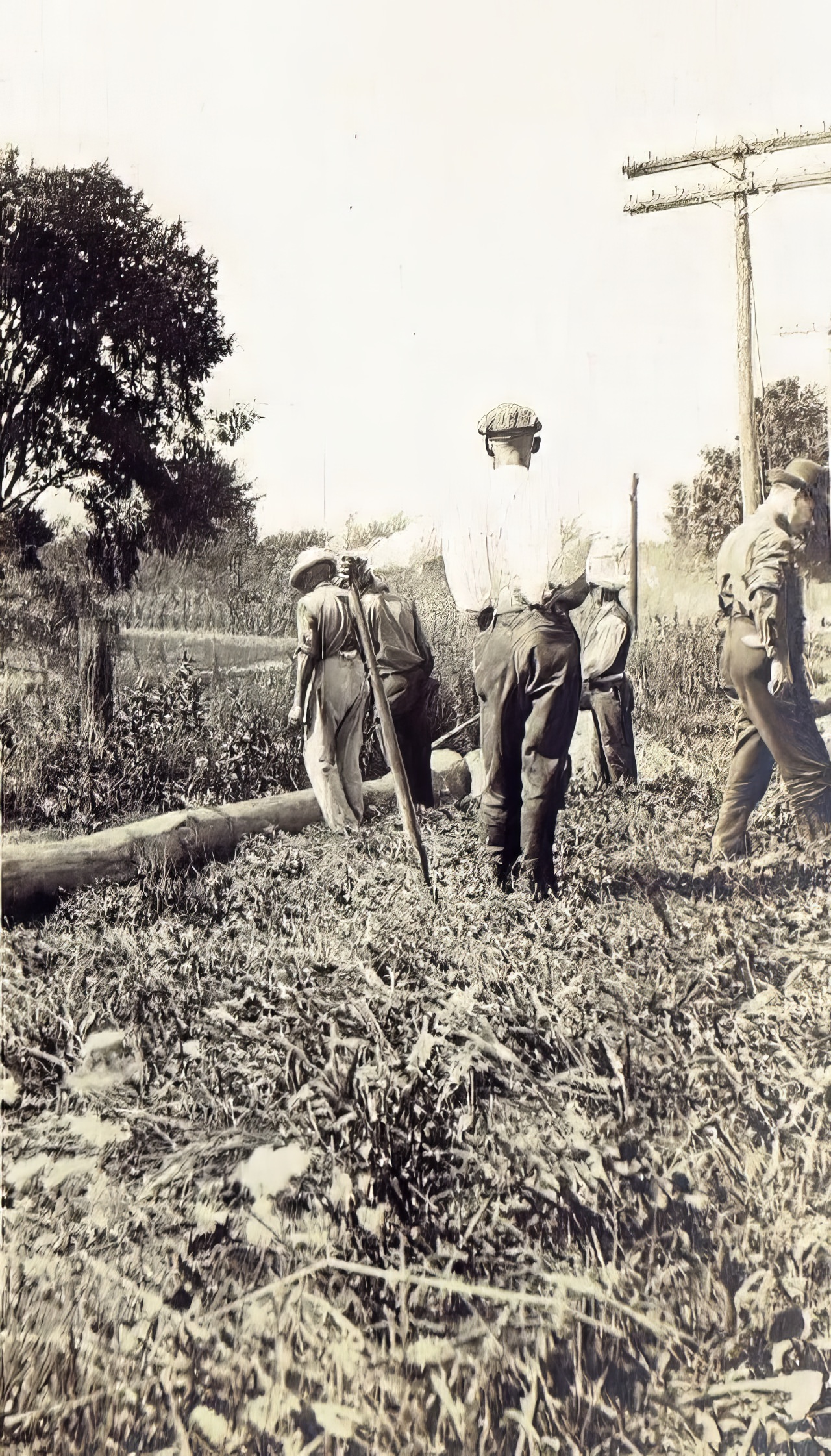 at work, Auburn, circa 1916