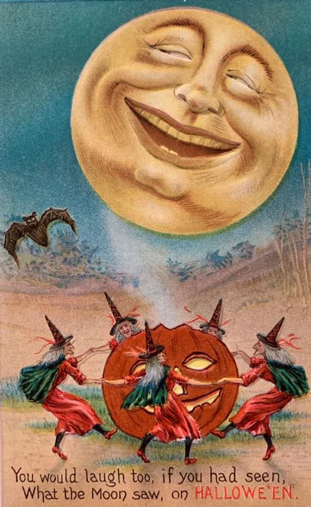 What the Moon Saw