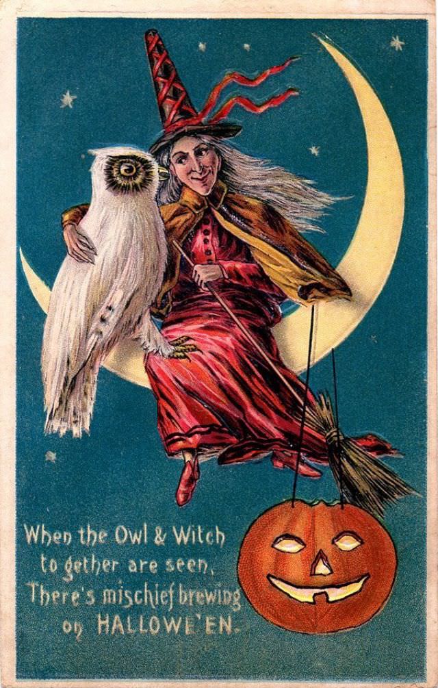 When the Owl and Witch Together Are Seen