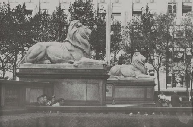 Marble lions sculptures located on steps of the main branch of the New York Public Library on 5th Avenue, Manhattan, New York City, 1953