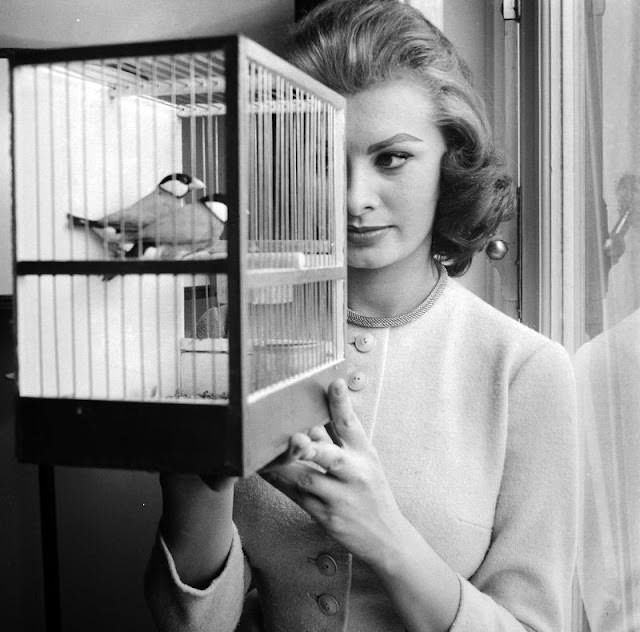 Sophia Loren with two songbirds gifted in Brussels, 1956.