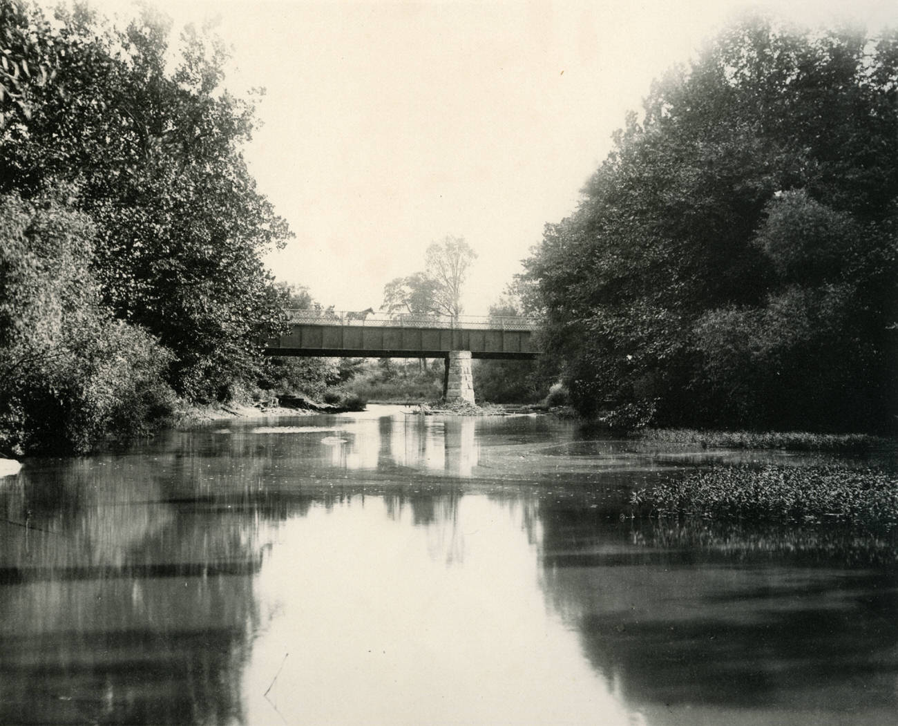 A horse and carriage on Alum Creek's Broad Street Bridge, 1897.