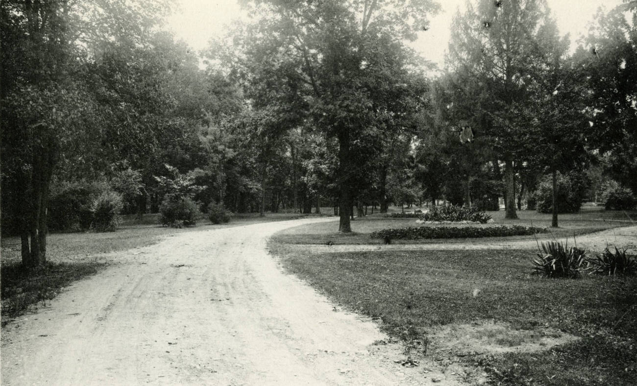Scenic drive on the Columbus State Hospital grounds, 1897.