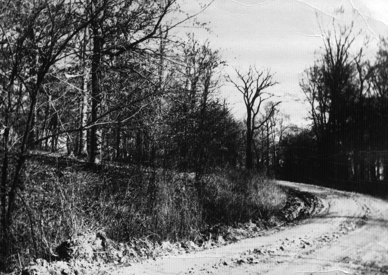 View of Glenmont Avenue towards Indianola Avenue in Clintonville, Columbus, 1923.