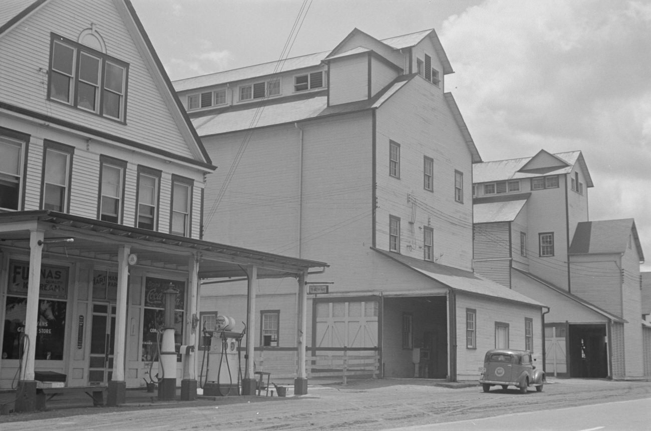 Hartman farm buildings including general store and grain elevators, 1938.