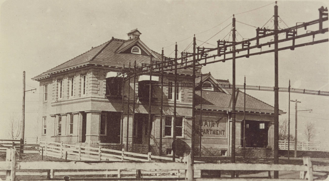 Dairy Department building at Hartman Stock Farm, photograph, 1911.