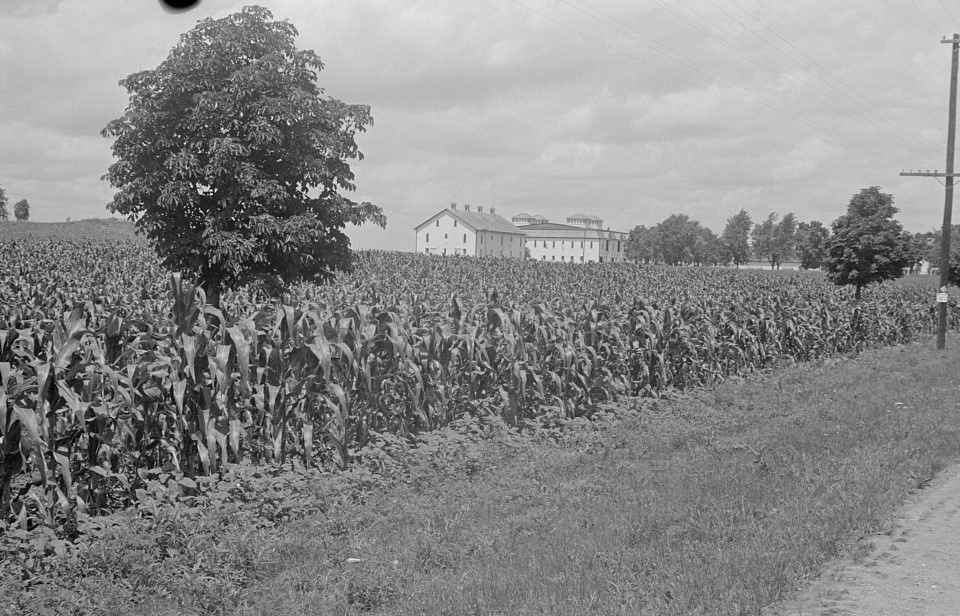 Fields and farm building at Hartman Farms near Columbus, Ohio, Summer 1938.