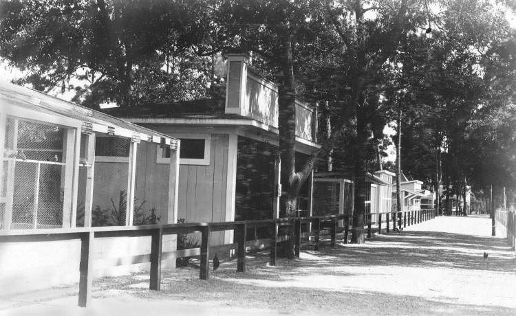 Houston Zoo buildings, 1910