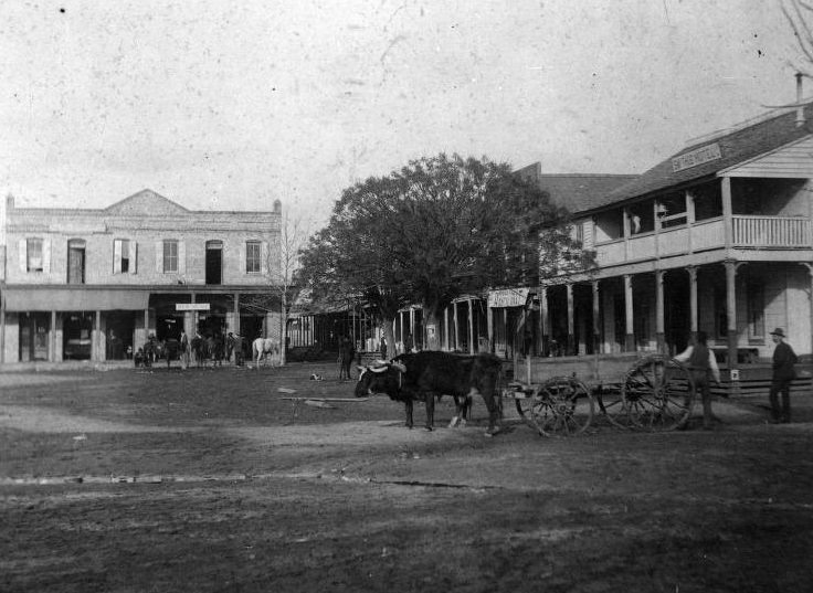 Street view with ox-drawn cart, 1897