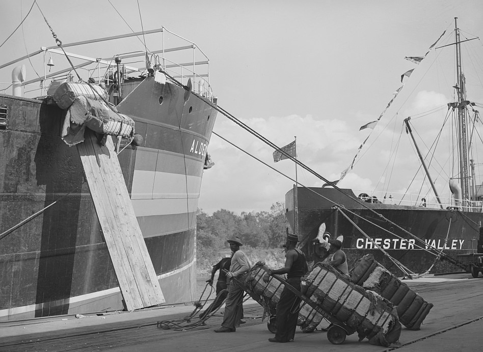 Stevedores loading cotton onto a freighter at the Port of Houston, Texas, 1939