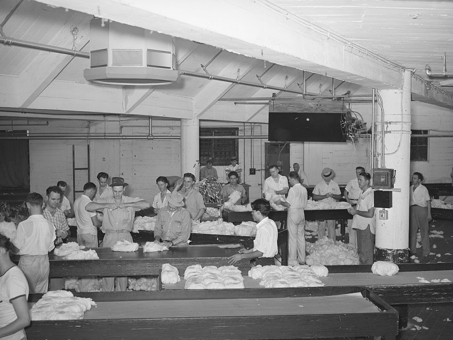 Sampling room at a cotton compress in the Port of Houston, Texas, 1939