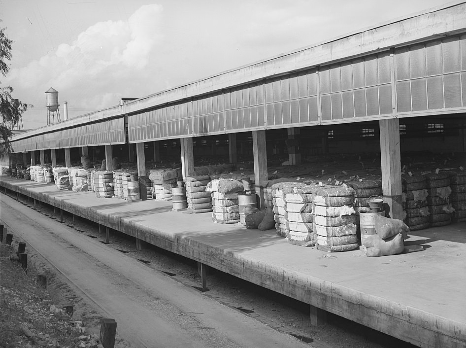 Loading dock of a compress in Houston, Texas, 1939