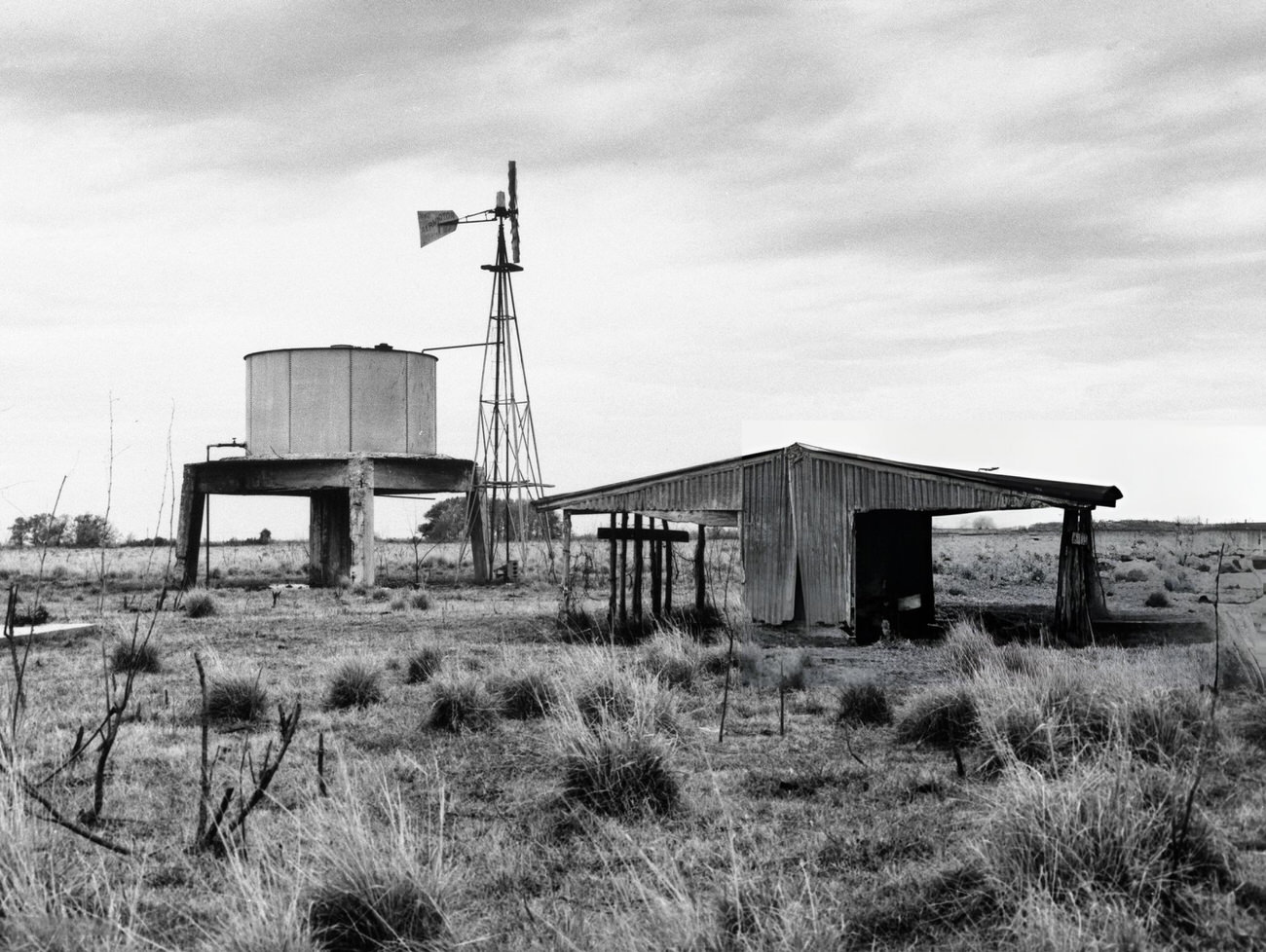 The future site of the Johnson Space Center in Houston, Texas, featuring a cow pasture, 1960.