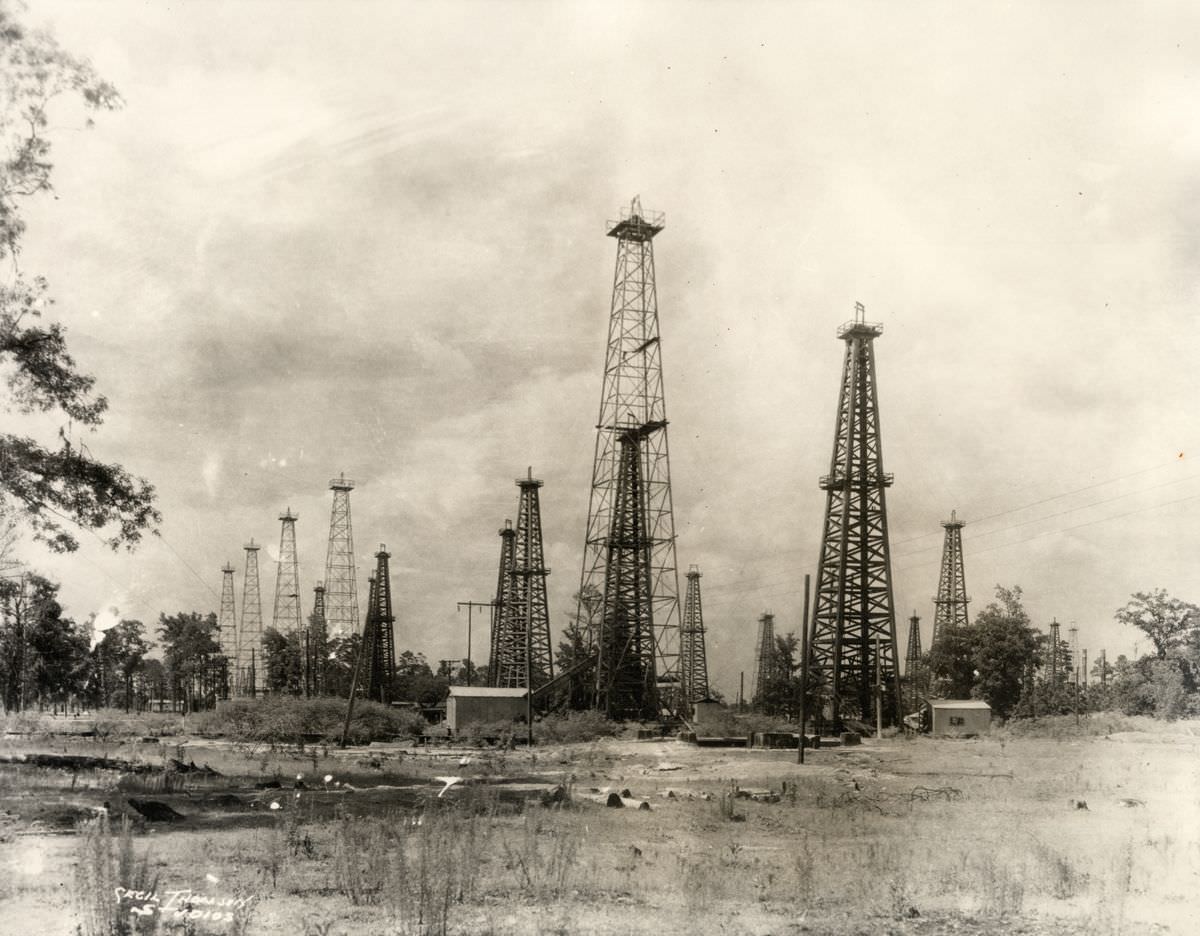 Oil derricks among trees and shrubs, near Houston, 1910s.
