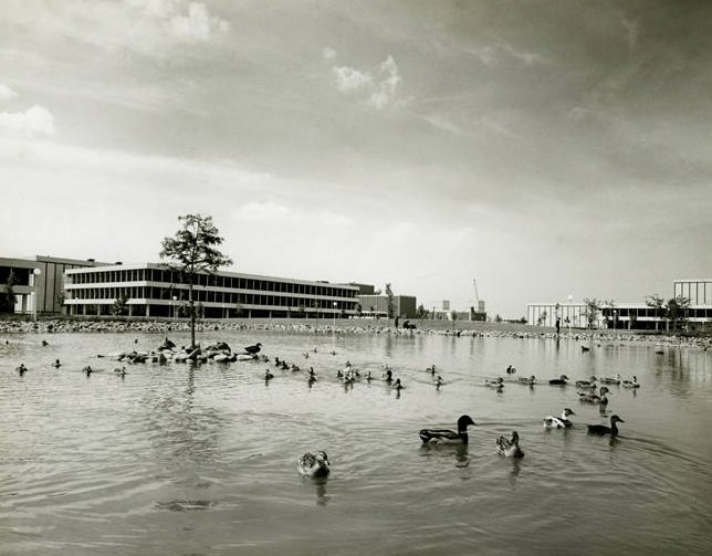 NASA Space Center pond and buildings, Houston, 1965.
