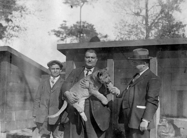 Lion cub with men at Houston Zoo, 1960s