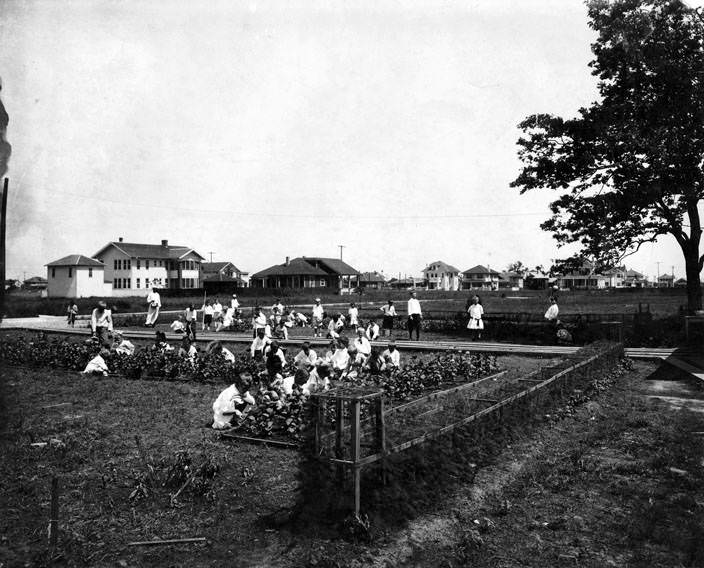 Children working in vegetable garden, 1910s