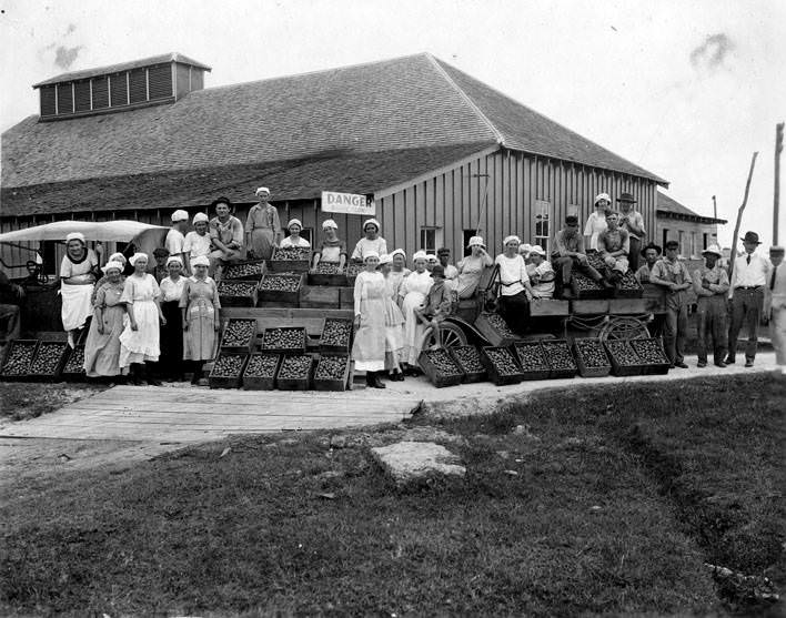 People with crates of figs, Houston, 1920s