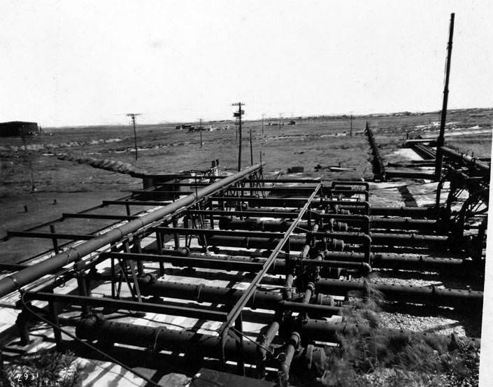 Overview of Texas Gulf Sulphur Company, 1924.