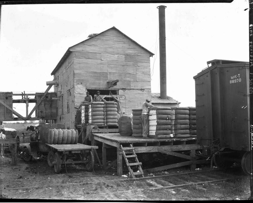 Cotton bales on railroad platform, 1930.