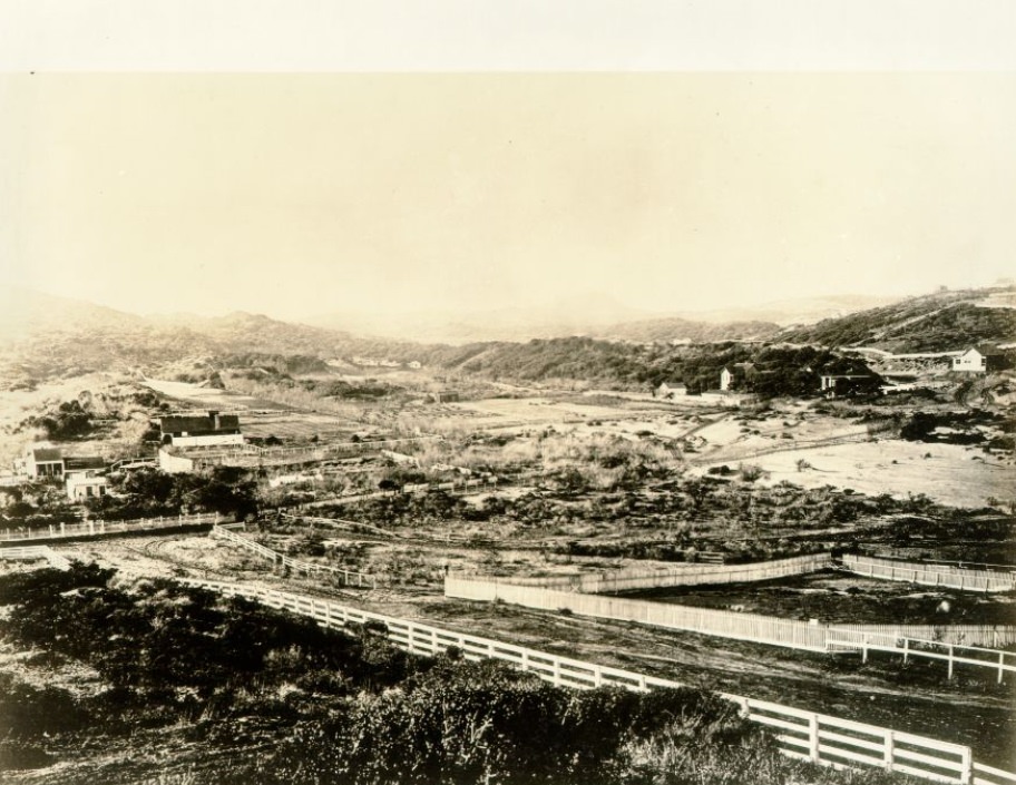 Lone Mountain from 15th Market Street, 1865