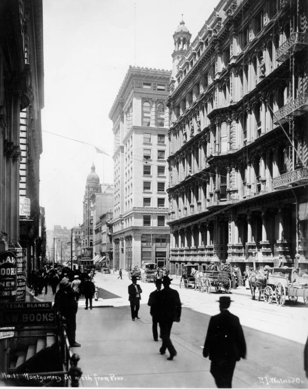Montgomery Street north from Pine, early 1900s