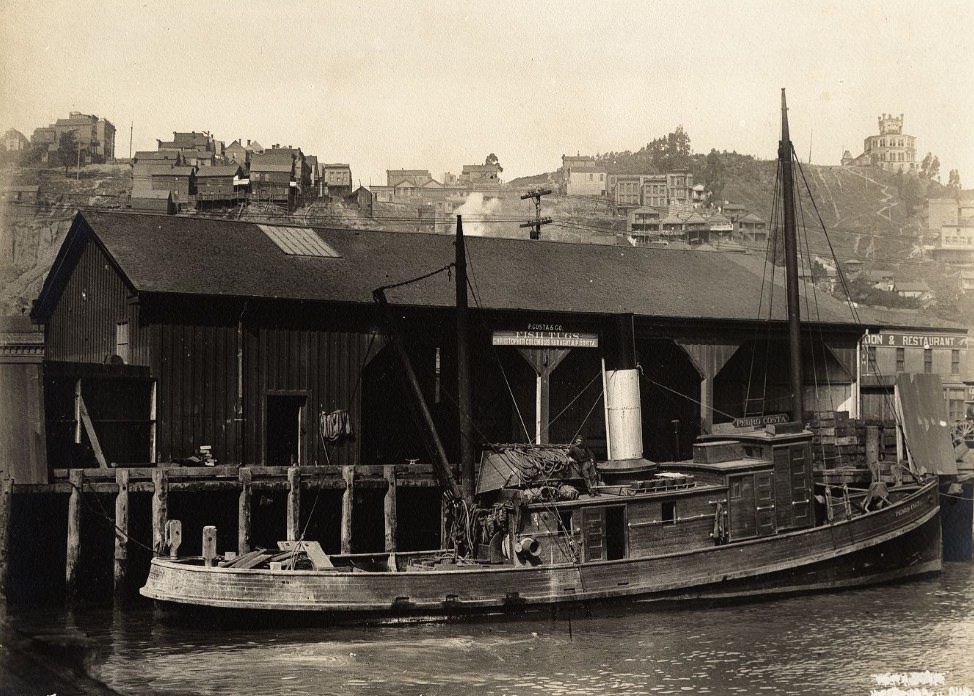 Telegraph Hill from the waterfront, 1902