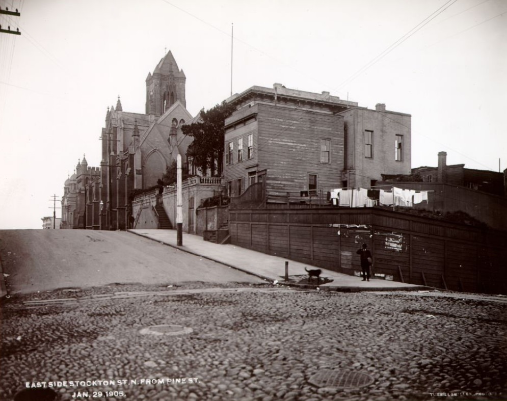 East side of Stockton, north from Pine Street, January 29, 1905