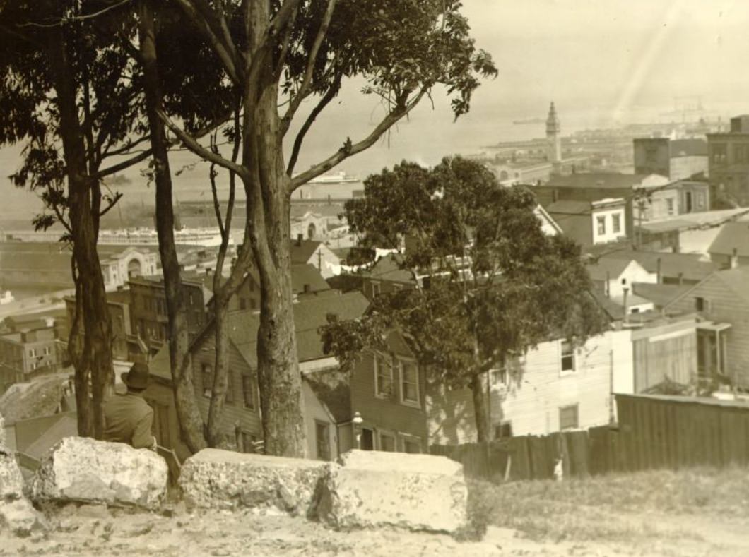 View from Telegraph Hill, 1920