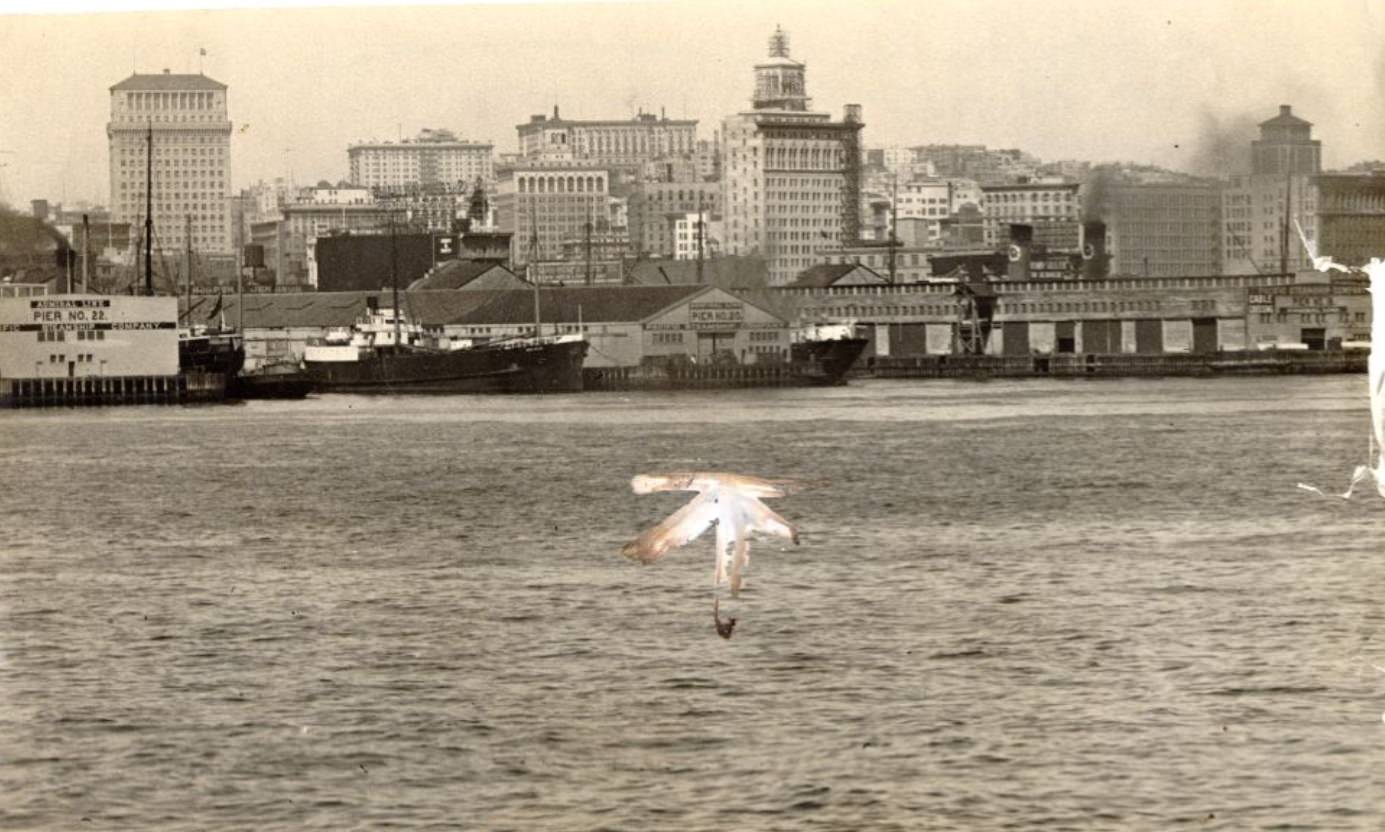 View of the shoreline, including piers 18 through 22, from the bay, circa 1924