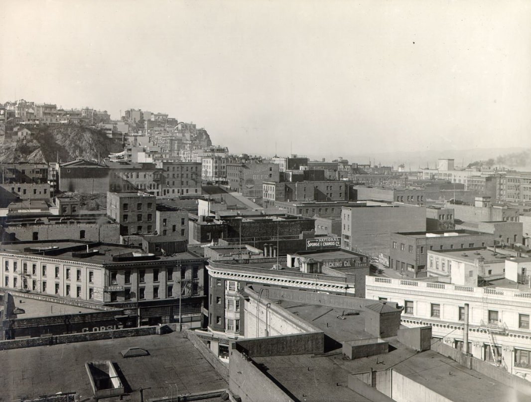 View of San Francisco northeast from the Hall of Justice, 1921