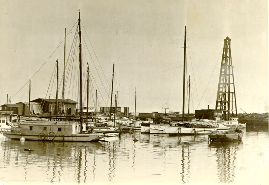 Marina Yacht Harbor, 1925