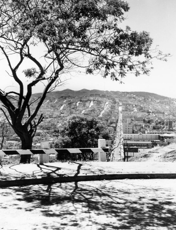 Twin Peaks, 1954.