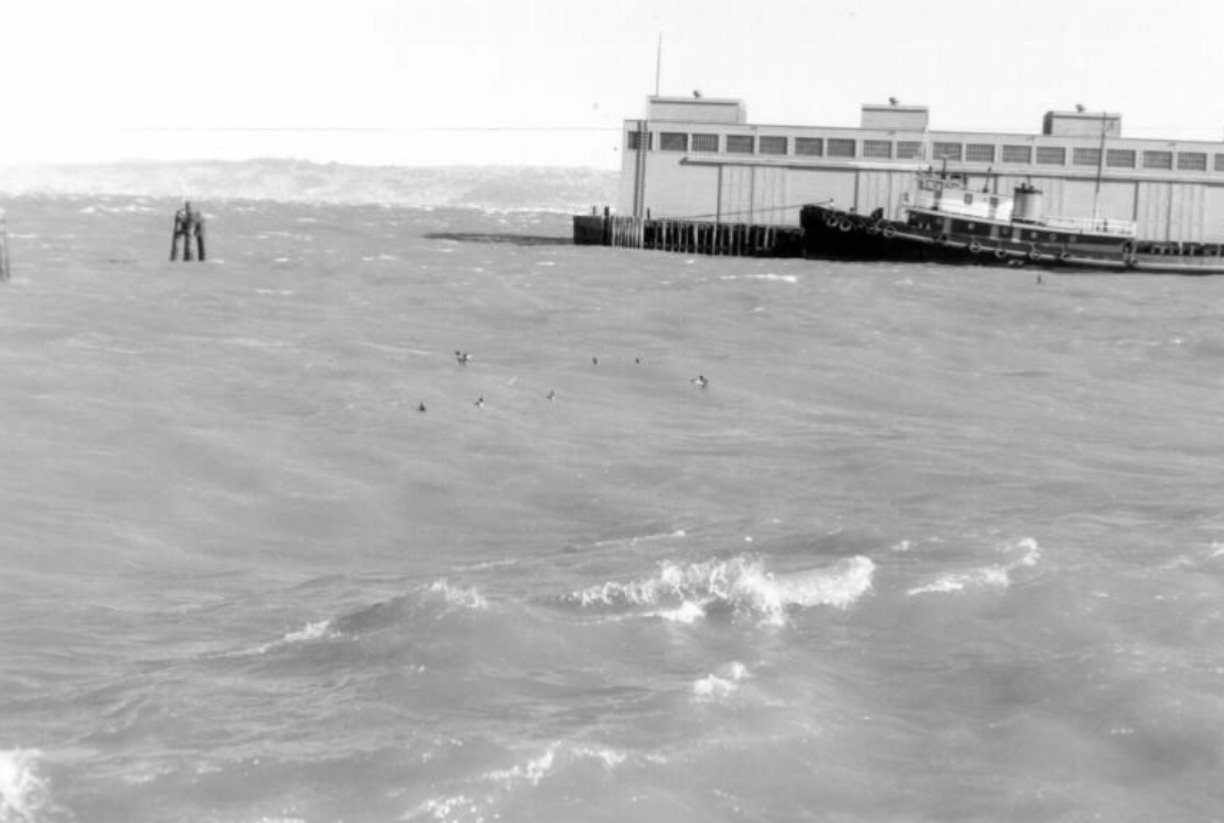 Fisherman's Wharf, 1960s.
