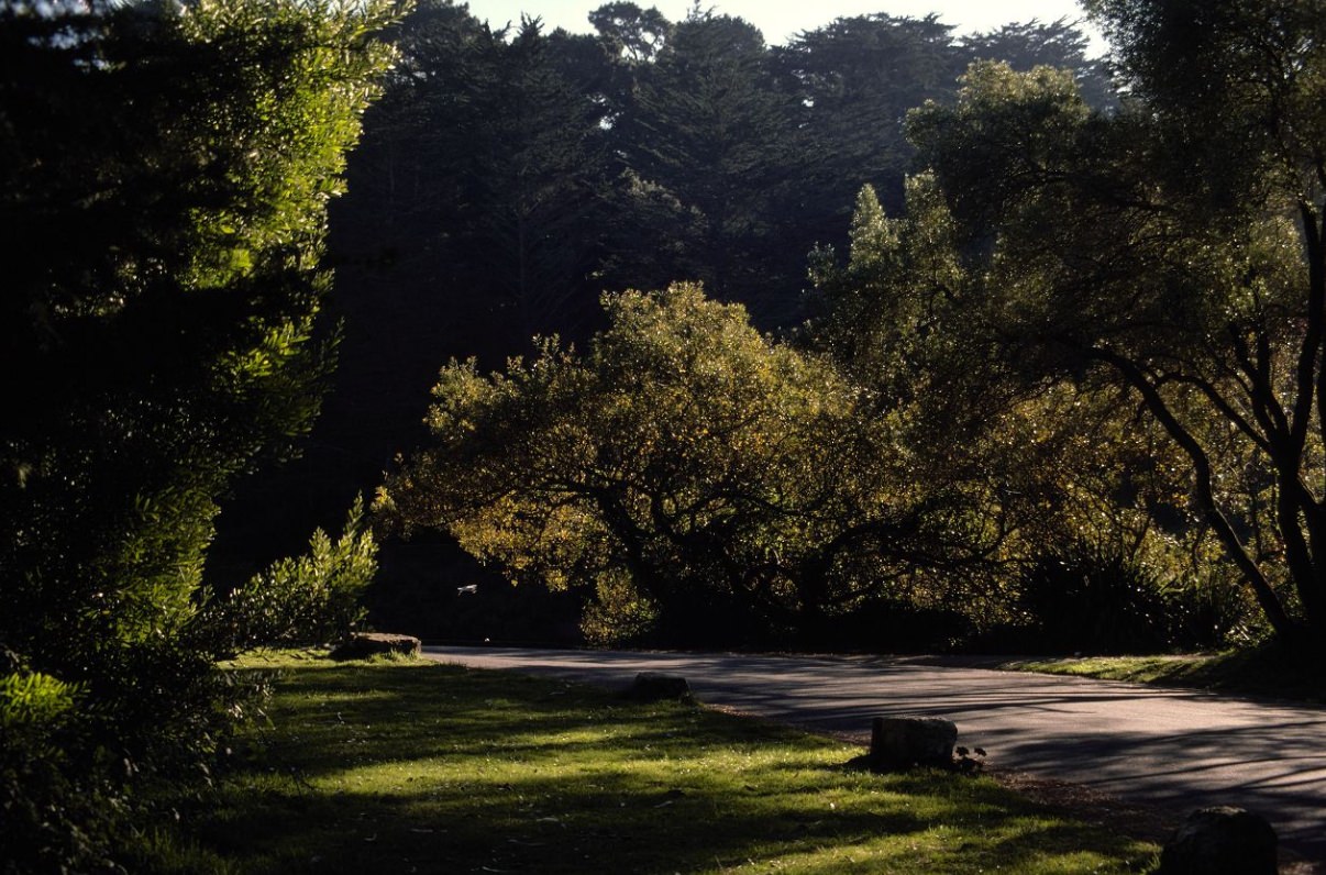 Park trail, 1975.