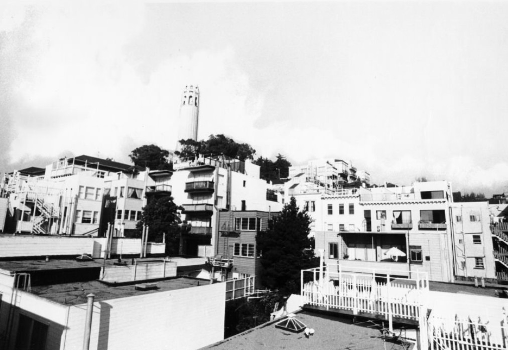 Telegraph Hill, 1973.