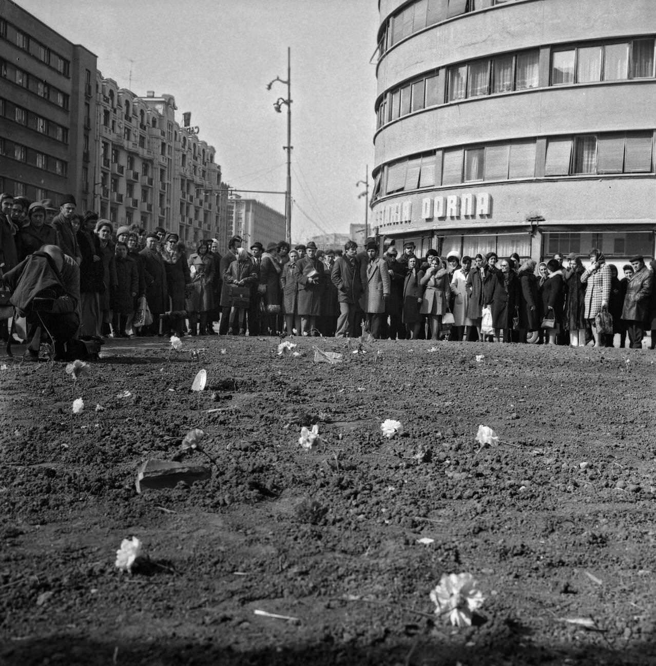 Flowers in memory of the earthquake victims in Bucharest, Romania, March 1977.