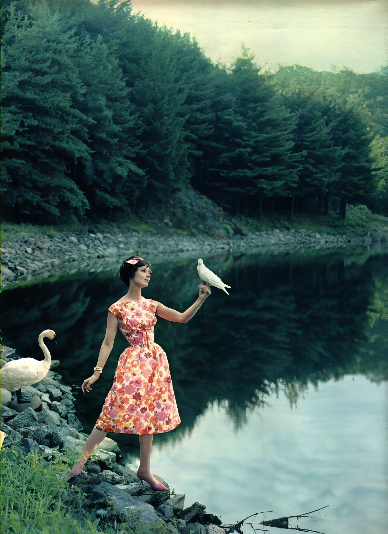 Rita Egan in a summer dress, Seventeen, 1958.