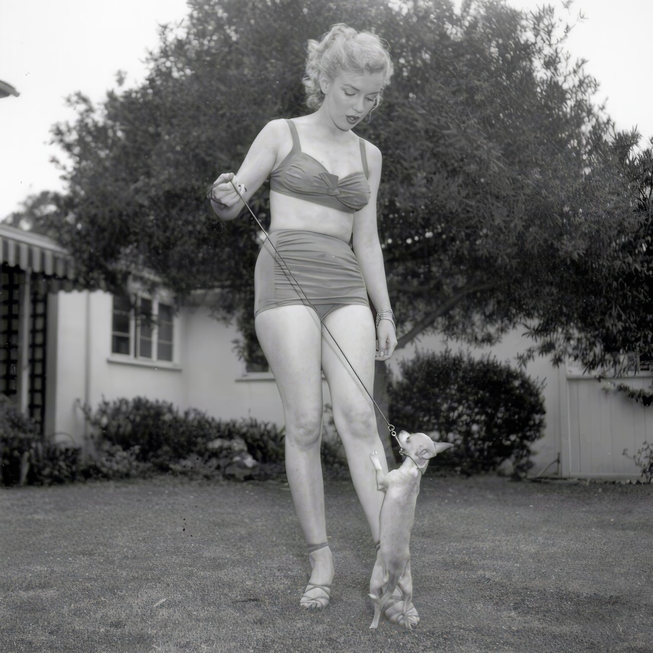 Adorable Vintage Photos of Marilyn Monroe with her Pet Dogs