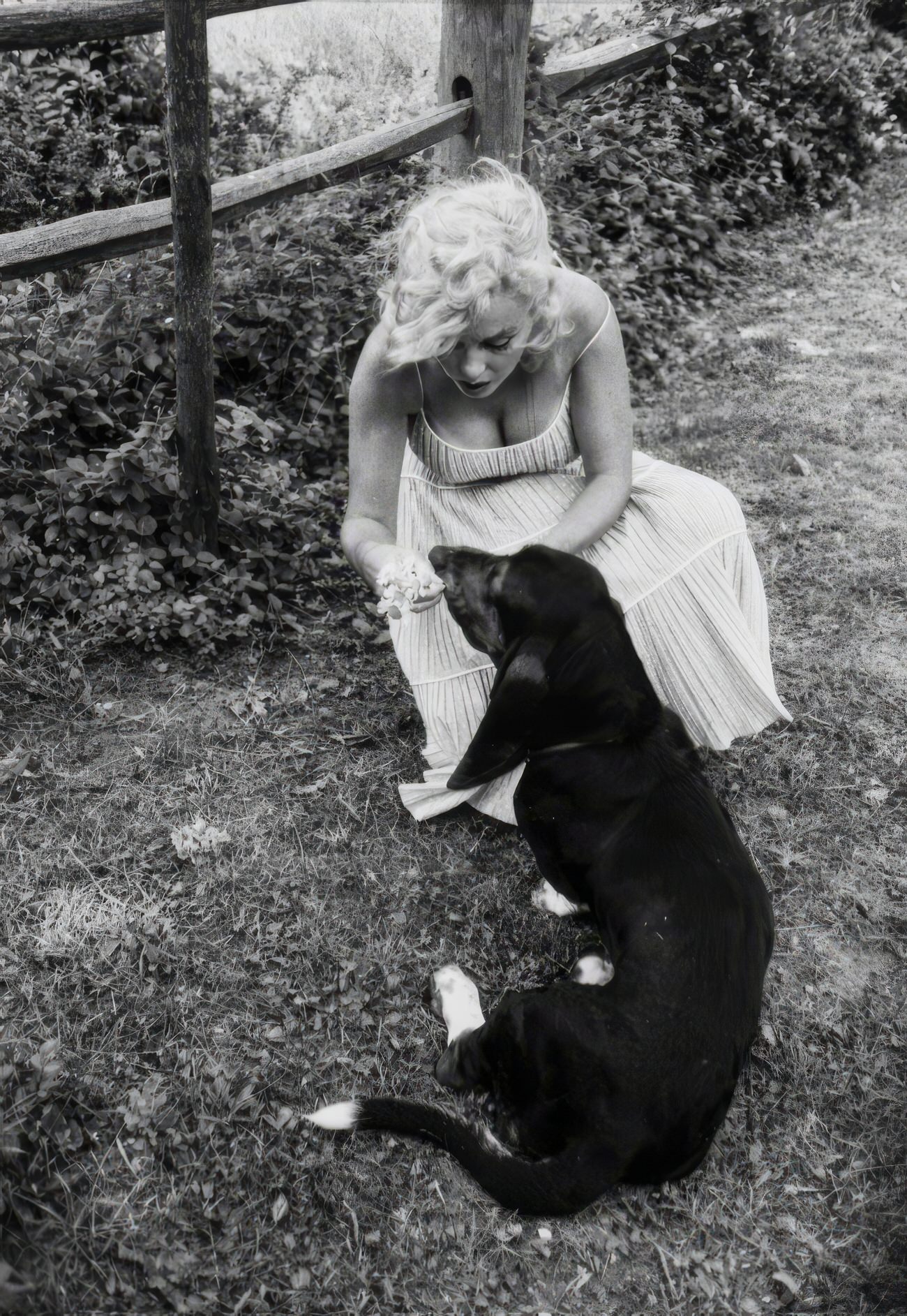 Adorable Vintage Photos of Marilyn Monroe with her Pet Dogs