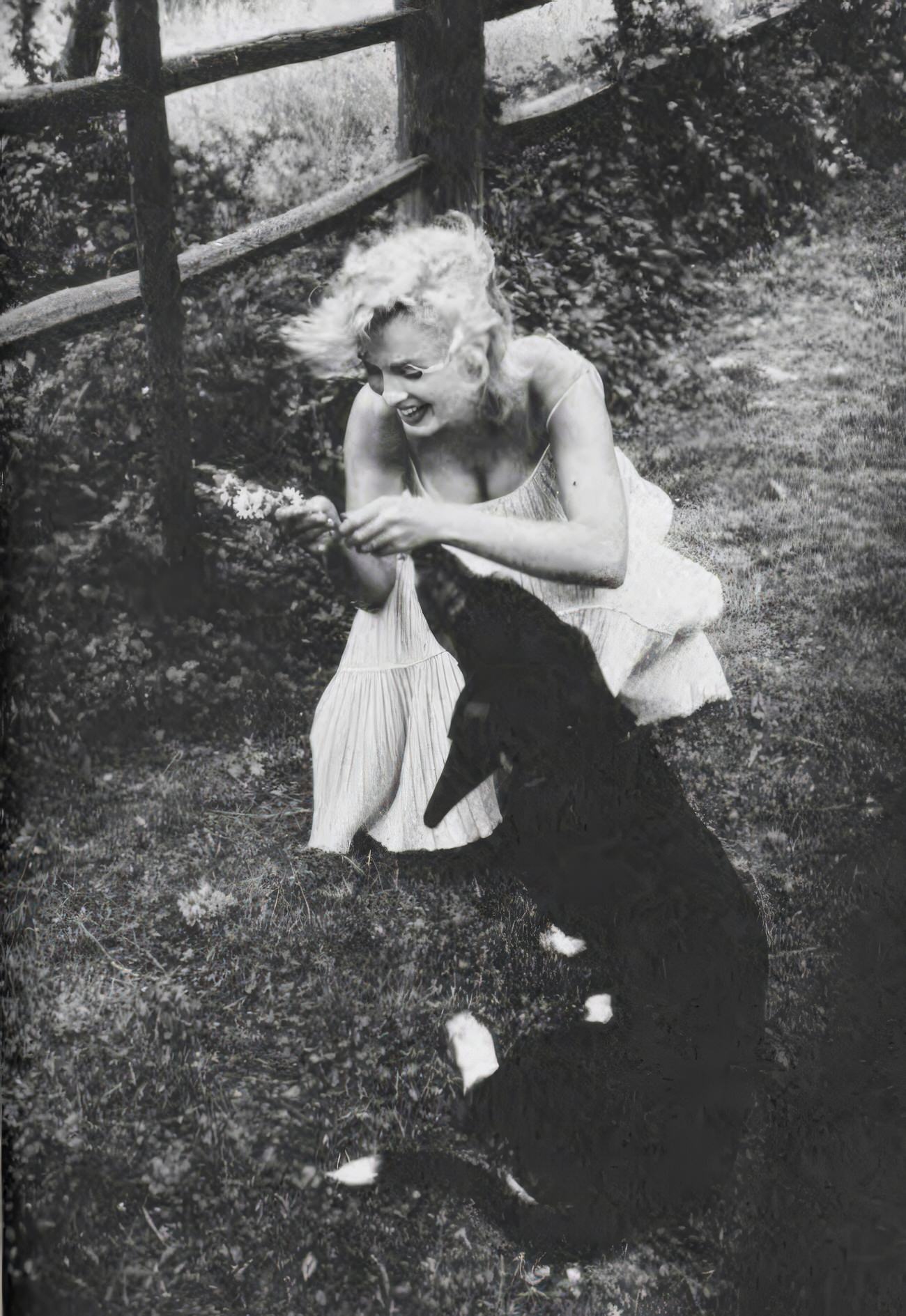 Adorable Vintage Photos of Marilyn Monroe with her Pet Dogs