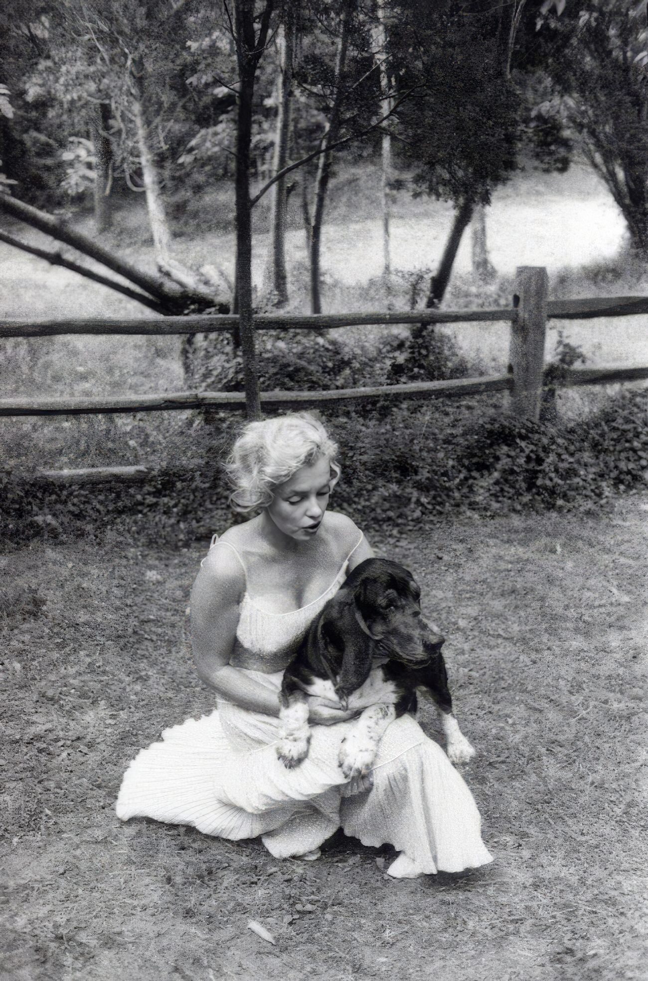 Adorable Vintage Photos of Marilyn Monroe with her Pet Dogs