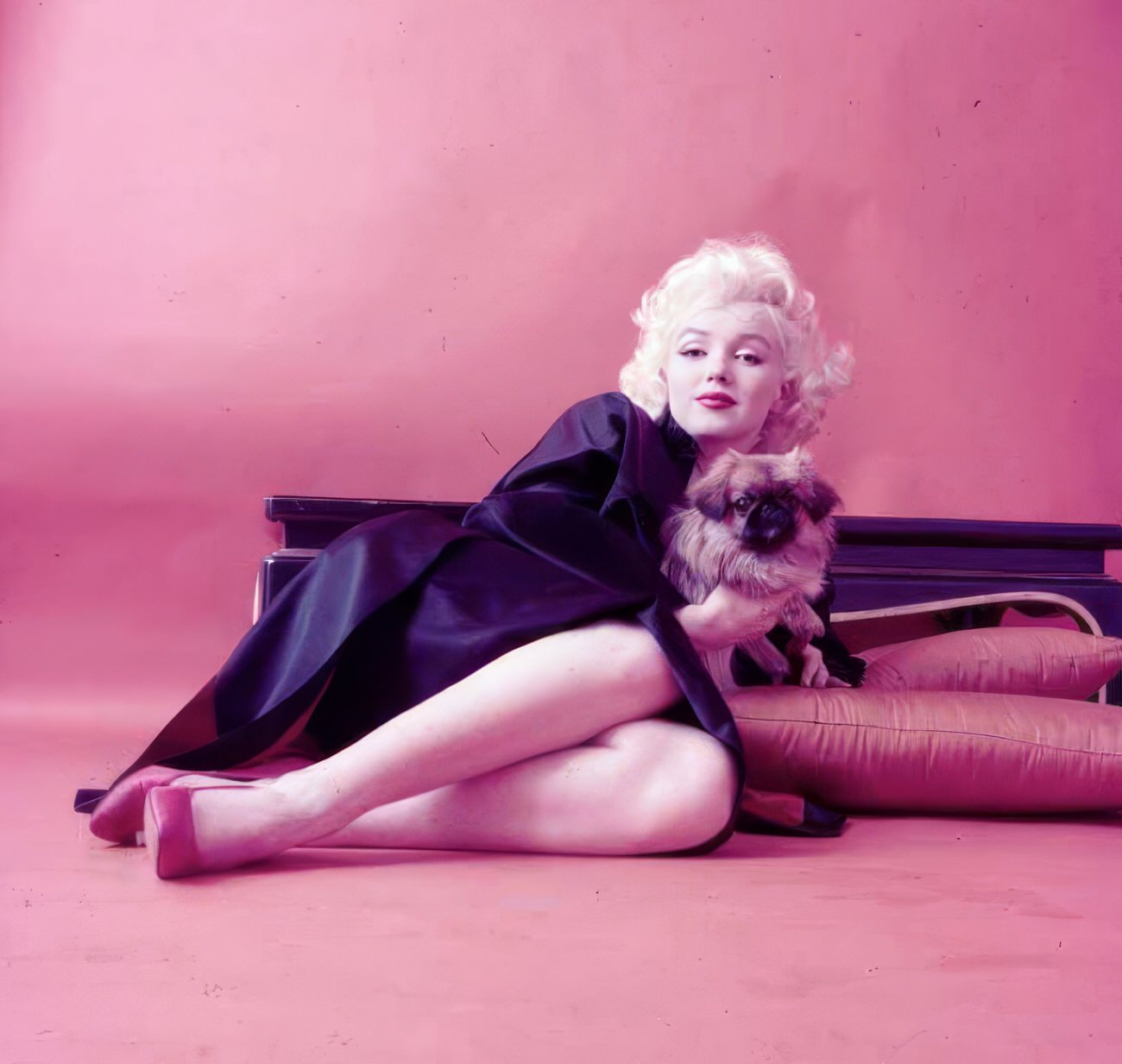 Adorable Vintage Photos of Marilyn Monroe with her Pet Dogs