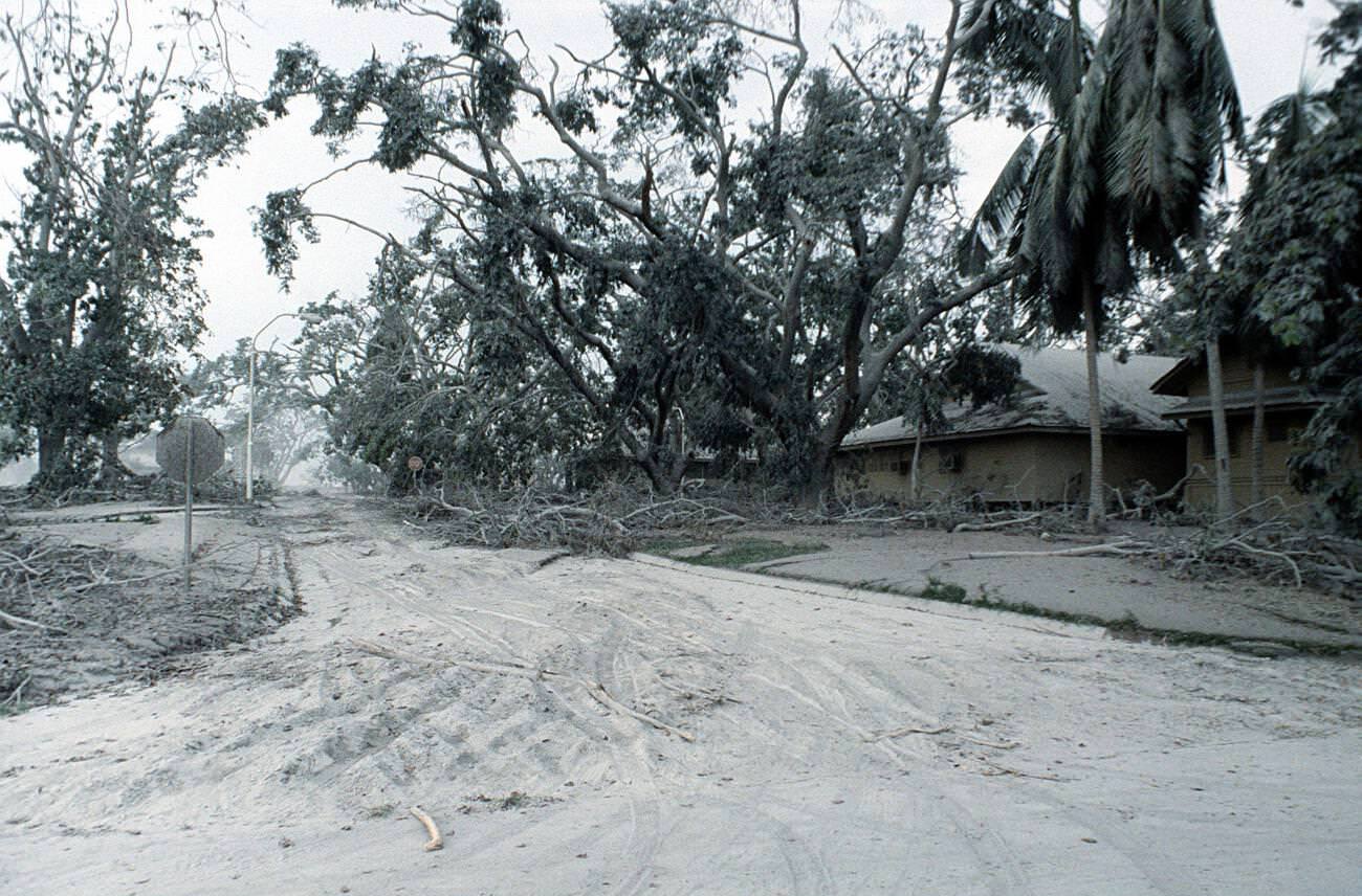 Downed trees and ash-covered ground in a senior officer's housing area at Clark Air Base, Luzon, Philippines, after Mount Pinatubo's eruption.