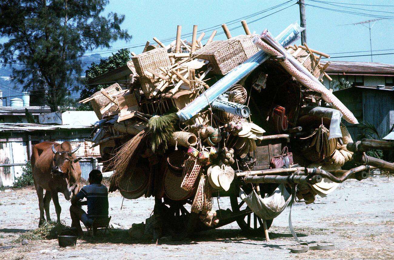 48 Fascinating Vintage Photos of Philippines from the 1970s