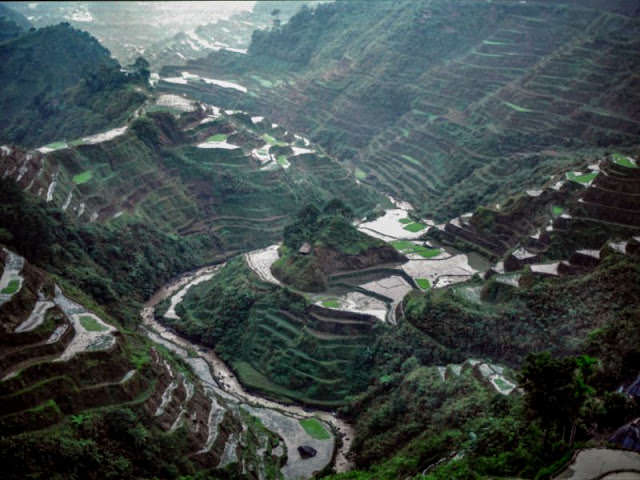 The Banaue Rice Terraces in the Philippines, 1980.